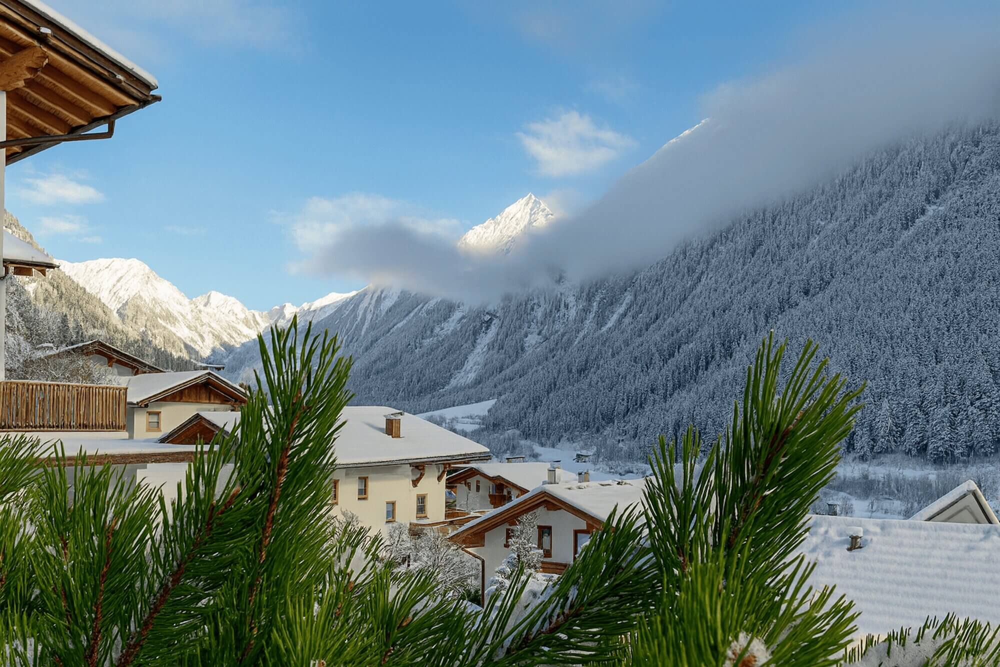 haus-alpenkoenig-laerchenwald-aussicht-winter-bergpanorama-neustift-schnee.jpg